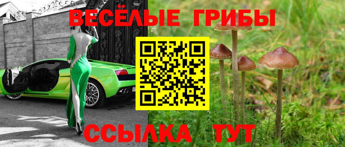 Галлюциногенные грибы Cubensis Фролово